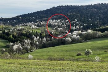 Zacznie się w sobotę. Bieszczady się zabielą