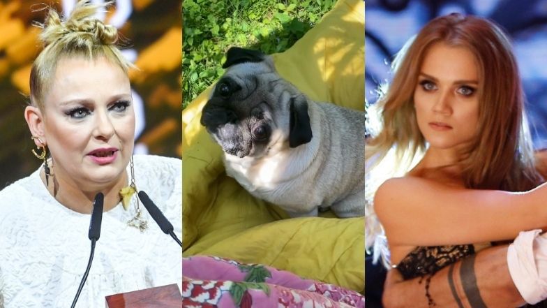 Katarzyna Nosowska uczy suczkę Jadzię o "modzie na brzydotę"