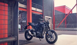 Mniejszy naked odświeżony. Honda CB300R doczekała się nowej wersji