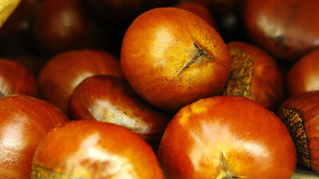 Prażone kasztany chińskie