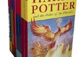 Harry Potter zdobywa polskie biblioteki