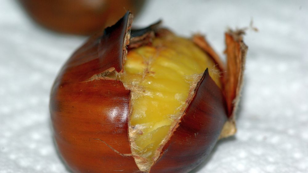 Surowe kasztany europejskie (obrane)