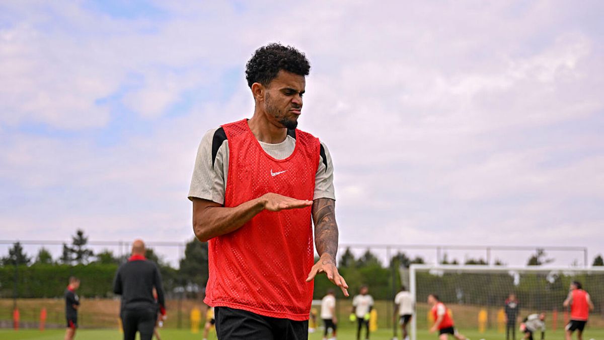 Getty Images / Andrew Powell / Luis Diaz