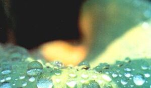 83-87082-43-0_37741_F.jpg
