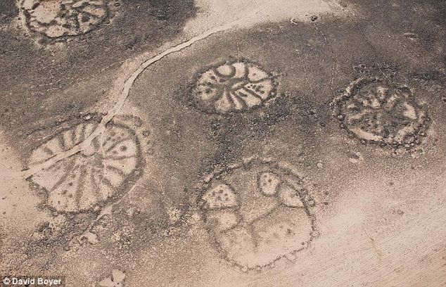 Równina Nazca właśnie zyskała rywala 5