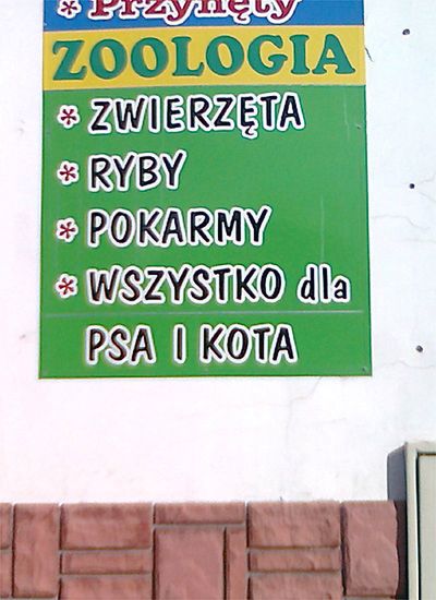 Obraz