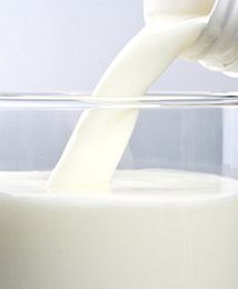 W Radomiu uruchomiono pokazową linię do wyrobu przetworów mlecznych