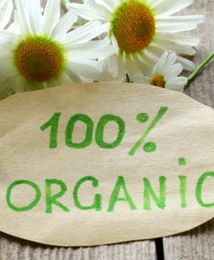 Na zakupach jesteśmy eko-próżni?