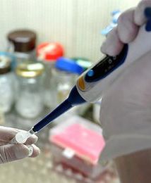 Deloitte: ponad połowa polskich firm chce zwiększyć wydatki na B+R