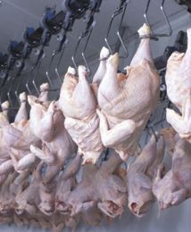 Ceny spadły, produkcja drobiu nadal opłacalna