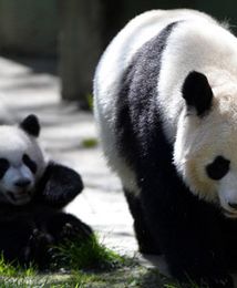 100 tysięcy chętnych na pracę marzeń