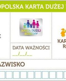 Kosiniak-Kamysz: 250 tysięcy wniosków o Kartę Dużej Rodziny