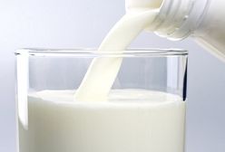 W Radomiu uruchomiono pokazową linię do wyrobu przetworów mlecznych
