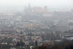 PO zapowiada walkę o utrzymanie zakazu palenia węglem w Krakowie