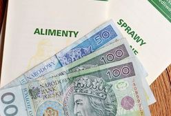 Rejestr Dłużników Niewypłacalnych bez alimenciarzy
