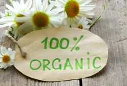 Na zakupach jesteśmy eko-próżni?