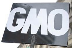 Koncerny produkujące GMO wycofują się z europejskiego rynku