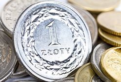 Nieudany tydzień dla polskiej waluty