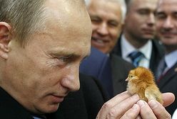 Kto straci na sankcjach Putina?