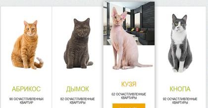 Kot do kredytu mieszkaniowego. Takie rzeczy tylko w Rosji