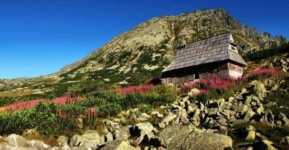 Dom z widokiem na Tatry za milion złotych