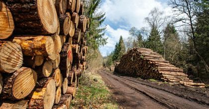 Rusza proces ws. usiłowania zabójstwa 23-latka przez pracodawcę