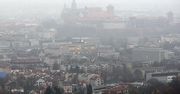 "Kraków na dobrej drodze do ograniczenia zanieczyszczenia powietrza"