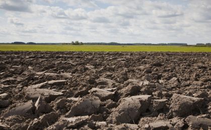 ANR: rolnicy chętnie kupują państwowe grunty