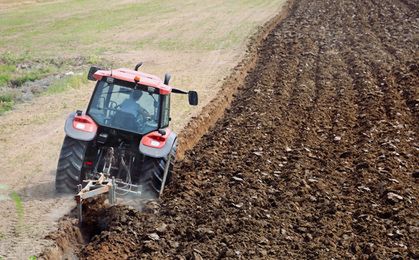 Niemiecki minister rolnictwa: UE nie odczuje zanadto embarga Rosji