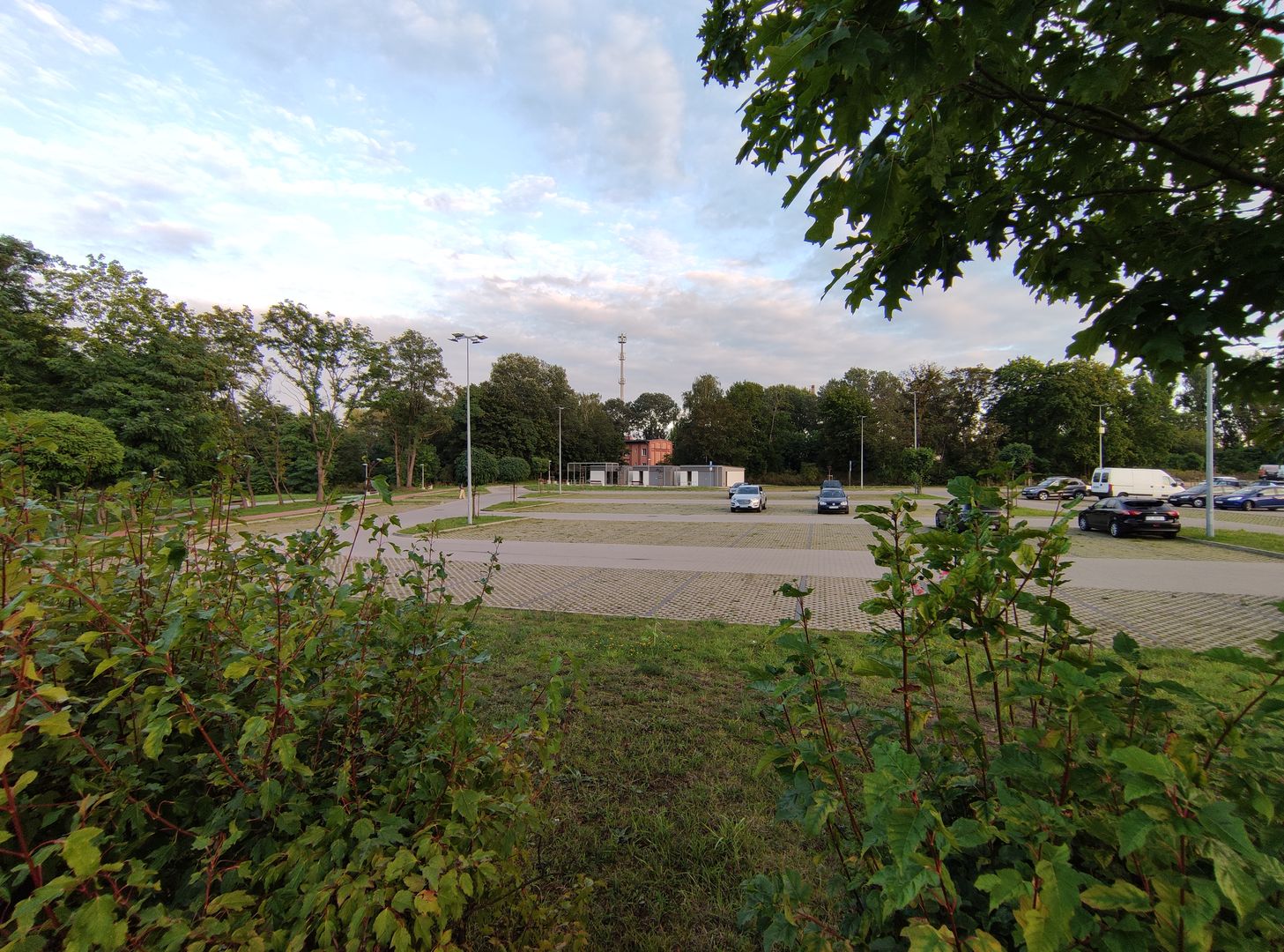 Obraz