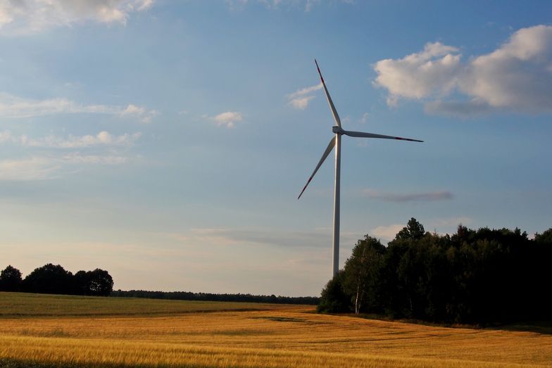 Energetyka wiatrowa. PO składa projekt ustawy, który ma odblokować inwestycje