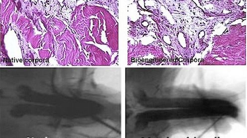 Przyrodzenie wyhodowane w laboratorium 1