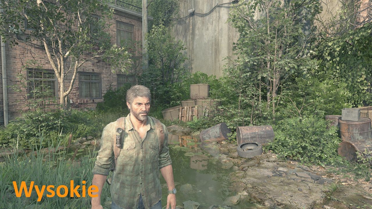 The Last of Us (PC) - detale wysokie