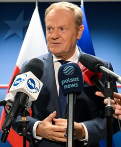 Tusk odniósł się do sondażu. "Mogę przyjmować zakłady"