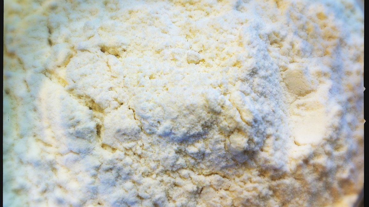 Mąka z nasion bawełny częściowo odtłuszczona