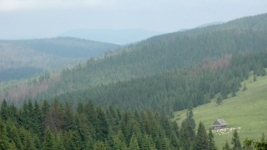 Piękne widoki na Turbaczu