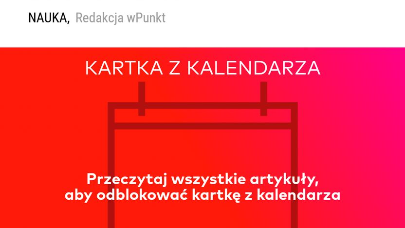 Newsweek wPunkt 8