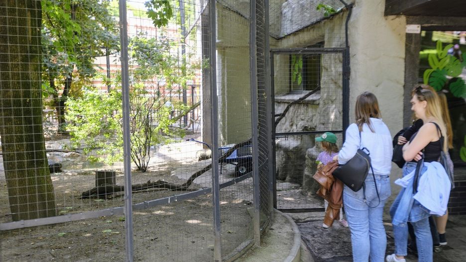 Nowe Zoo w Poznaniu