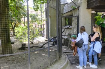 Nowoczesna diagnostyka w ogrodzie zoologicznym w Poznaniu. Mobilny rentgen pomoże jego mieszkańcom