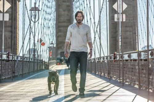 ''John Wick 2'': Keanu Reeves zabije wszystkich