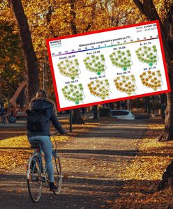 Kilka dni złotej jesieni. Na termometrach nawet 20 kresek