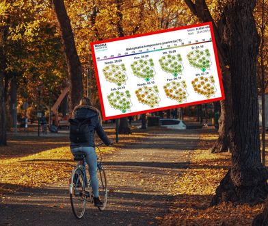 Kilka dni złotej jesieni. Na termometrach nawet 20 kresek