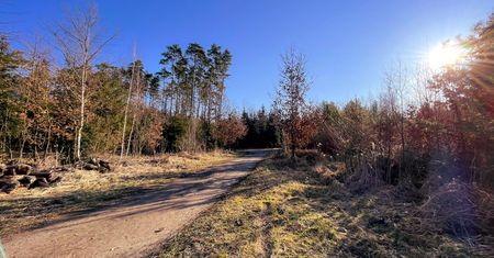 Pogoda. Wrocław. 26 kwietnia - ocieplenie za rogiem. Do końca tygodnia zrobi się ładniej