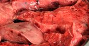 Zapomniany produkt z mięsnej lady. Nasi dziadkowie jedli go na co dzień, dziś budzi odrazę