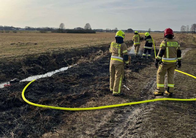 Uwaga na pożary traw! Wzrost liczby interwencji w powiecie łukowskim (zdjęcia)