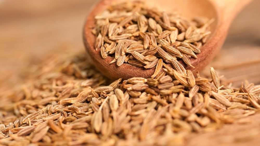 Kmin rzymski - odchudzanie, lecznicze właściwości, na co dzień