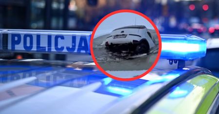 Nagranie z Wodzisławia. To nie fake. Służby ruszą nad staw