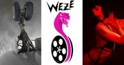 W Polsce można śmiać się ze złych filmów! Węże zgodne z prawem