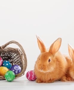 Wielkanoc 2019 – zabawne oraz tradycyjne życzenia wielkanocne. Wierszyki z okazji Świąt Wielkanocnych