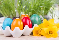 Wielkanoc 2019: sprawdź, kiedy rozpoczyna się Wielkanoc i czy będzie to święto wolne od pracy?